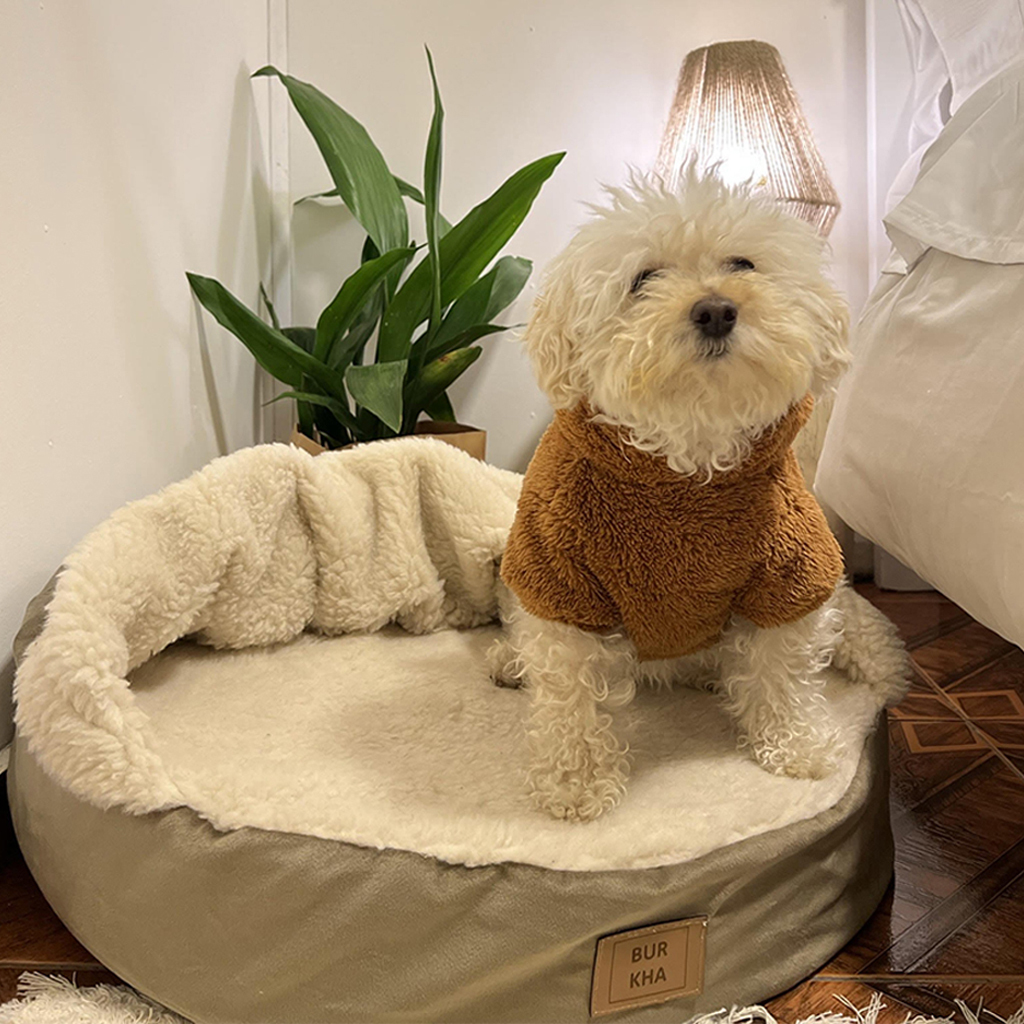 Fashion comprar cama de perro