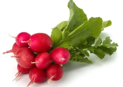 RADISH