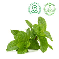 ORGANIC MINT BUNCH