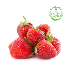 NATIONAL ORGANIC STRAWBERRY DOMO 485 GRS