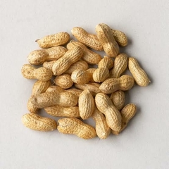 ROASTED PEANUT WITH SHELL