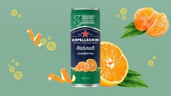 CARBONATED WATER WITH FRUIT - SAN PELLEGRINO NATURALI on internet