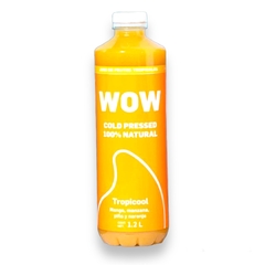COLD PRESSED GREEN JUICE -WOW FACT - buy online
