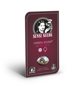 HINDU KUSH X3-SENSI SEEDS - comprar online