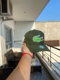 Gorra Lacoste Verde