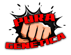 L-Glutamine - Pura Genética