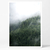 Cuadro bosque con niebla "A" - comprar online