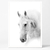 Cuadro caballo blanco - comprar online