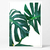 Cuadro hojas monstera - comprar online