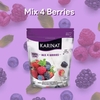 Mix 4 berries (arándanos, frambuesas, frutillas y moras) 400g ó 2k Karinat