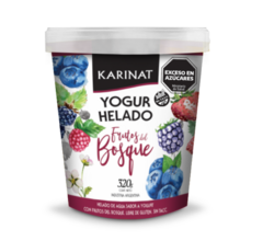 Yogur Helado Frutos del Bosque 320 gr