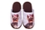 Bear - 520 - Chinelo Eva Cachorro Cor 828