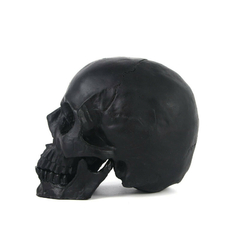 Caveira decorativa em resina black skull