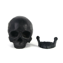 Caveira decorativa em resina black skull