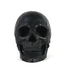 Caveira decorativa em resina black skull