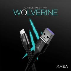 Cable USB a Tipo B Wolverine 1M 4.4a en internet