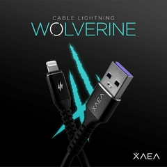 Cable USB a Tipo iPh Wolverine 1M 4.4a en internet