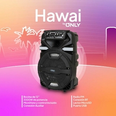 Only 12" Hawai - SLTech