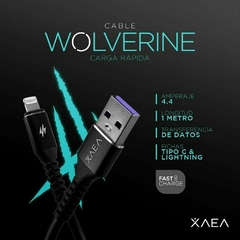 Cable USB Tipo C XAEA Wolverine 1M 4.4a en internet
