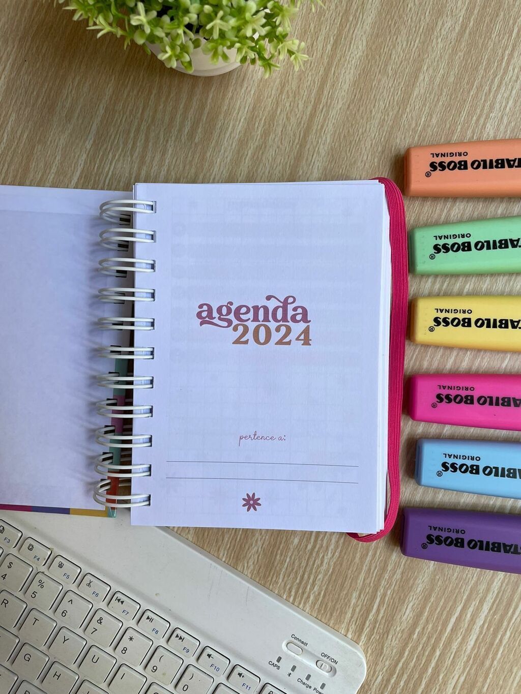 Mini Agenda 2024 Personalizada - Planners e Agendas - Presentes