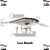 Isca Rapala Shad Rap SR-9 9cm 15g na internet