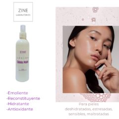 ZINE LOCION CELULAS MADRE 300 ML - comprar online