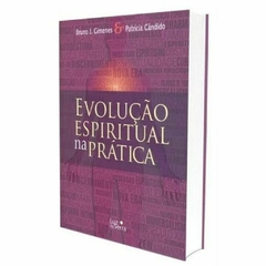 LIVRO EVOLUÇÃO ESPIRITUAL NA PRÁTICA