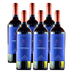 Malbec joven - Colaláo del Valle - Tucumán - comprar online