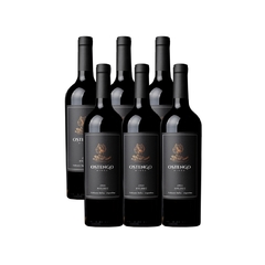 Malbec 2021 - Cafayate Valley x6