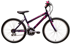 Imagen de Bicicleta MTB Unisex HOKO 18 vel rodado 24