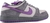 Tênis Dunk Low Pro Sb Purple 'Pigeon' Light Prism Graphite Violet 304292-051