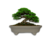 VASO BONSAI CERAMICO ESMALTADO 17X14X04CM - comprar online