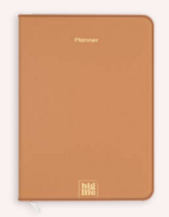 PLANNER MIMINAL 15X21-162 PAG. ANILLADA PARA REPUESTOS [L5AGE15ITMIN] - comprar online