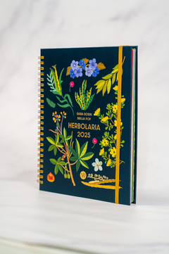 AGENDA HERBOLARIA 2025 17,5X22 SV (BRUJA POP) [VR2325-25] - comprar online