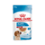 Pouch Medium Puppy - Royal Canin