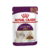 Pouch Sensory Smell - Royal Canin