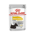 Pouch Dermaconfort Perro - Royal Canin