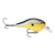 Señuelo Rapala Dt Fat 1, Tarariras!! - tienda online