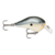 Señuelo Rapala Dt Fat 1, Tarariras!! - tienda online