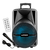 SR-BAF153 Bocina Amplificada 15" MP3, USB, SD, AUX, BT, MIC en internet