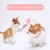 Brinquedo automático interativo para gatinhos na internet