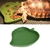 Tigela em formato de folha alimentadora de répteis (lagartos, tartarugas) - comprar online