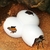 Imagem do Réptil escondendo caverna animal de estimação caso eggsshell decoração para tartaruga lagarto cobra