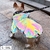 Roupa colorida impermeável para cães de pequeno e médio porte