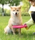 Disco voador brinquedos do cão de estimação discos voadores mastigando brinquedo para cães grandes tigelas alimentação interativa treinamento ao ar livre suprimentos do cão 1 pçs - PET AND YOU