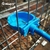 Coelho automático alimentador de água tigela anti-mordida pequeno animal mamilo copo bebendo cobaia porco furão gaiola de rato equipamento de reprodução - loja online