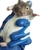 Luvas de borracha anti mordida macia para animais de estimação - loja online