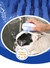 Cão de estimação gato escova de banho 2-em-1 pet spa massagem pente macio silicone pet chuveiro cabelo grooming cmob cão ferramenta de limpeza suprimentos para animais de estimação - comprar online