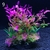 12 tipos de plantas artificiais decoração do aquário água ervas daninhas ornamento aquáticas planta tanque peixes grama decoração acessórios 14cm - comprar online