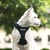 Cão de estimação arnês verão malha náilon respirável cão colete macio ajustável arnês para cães filhote de cachorro coleira gato cão de estimação cinta de peito - comprar online